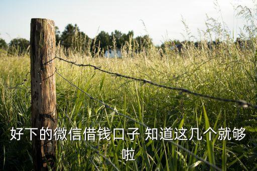 好下的微信借錢口子 知道這幾個就夠啦