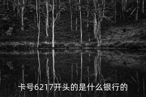 卡號6217開頭的是什么銀行的