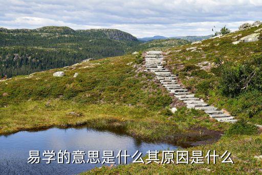 易學(xué)的意思是什么其原因是什么