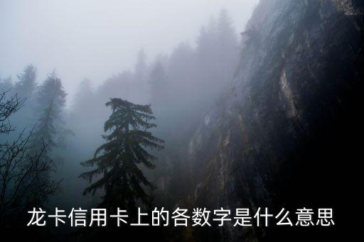 龍卡信用卡上的各數(shù)字是什么意思
