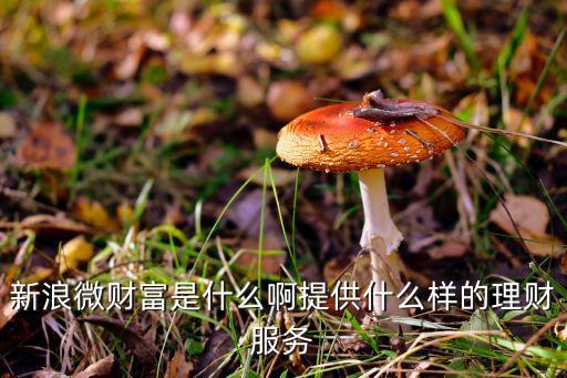 新浪微財(cái)富是什么啊提供什么樣的理財(cái)服務(wù)