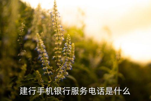 建行手機(jī)銀行服務(wù)電話是什么