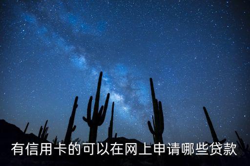 有信用卡的可以在網(wǎng)上申請(qǐng)哪些貸款