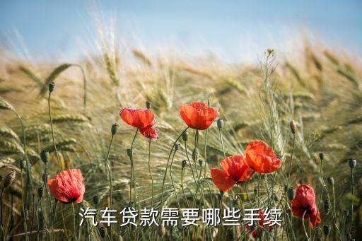 汽車貸款需要哪些手續(xù)