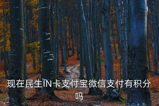 現(xiàn)在民生IN卡支付寶微信支付有積分嗎