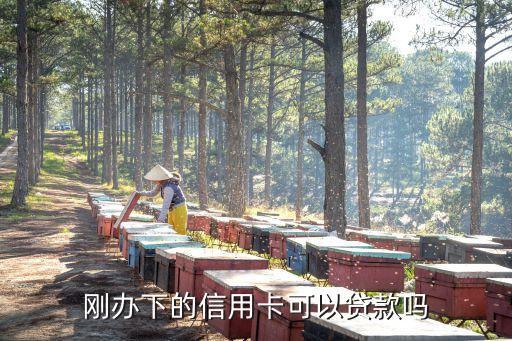 剛辦的信用卡能貸什么條件，剛辦下的信用卡可以貸款嗎