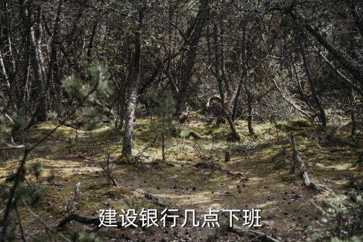 建設(shè)銀行幾點下班