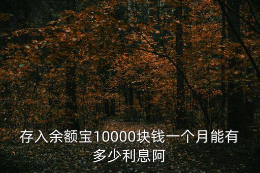 存入余額寶10000塊錢一個月能有多少利息阿