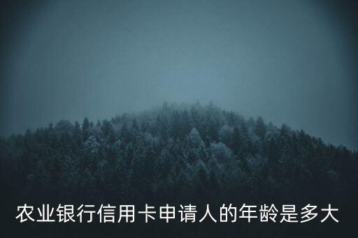 農(nóng)業(yè)銀行信用卡申請人的年齡是多大