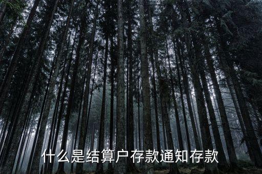 什么是結(jié)算戶存款通知存款