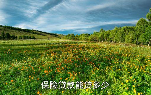 保單貸款最高多少倍，一年五千已經交三年了我想知道現(xiàn)在用保單貸款最多可以貸多少