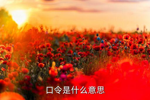 口令是什么意思