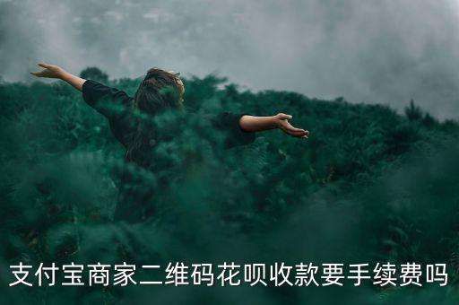 支付寶商家二維碼花唄收款要手續(xù)費嗎