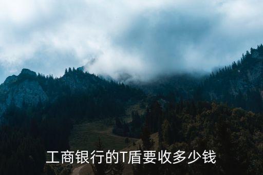 銀行t盾是什么，工商銀行的T盾要收多少錢