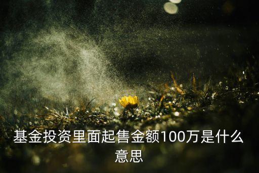 基金投資里面起售金額100萬(wàn)是什么意思