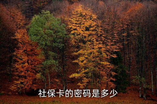 醫(yī)?？ㄈ″X密碼是什么樣的，醫(yī)保卡的初始密碼是多少