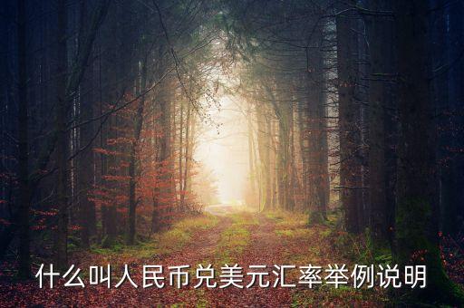 什么叫人民幣兌美元匯率舉例說明