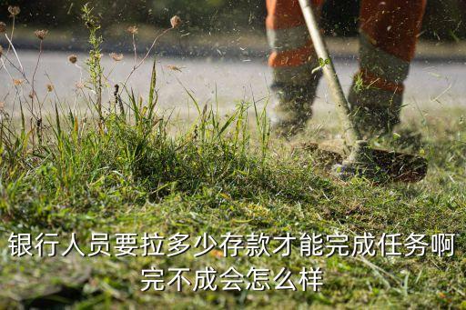 銀行人員要拉多少存款才能完成任務(wù)啊完不成會(huì)怎么樣