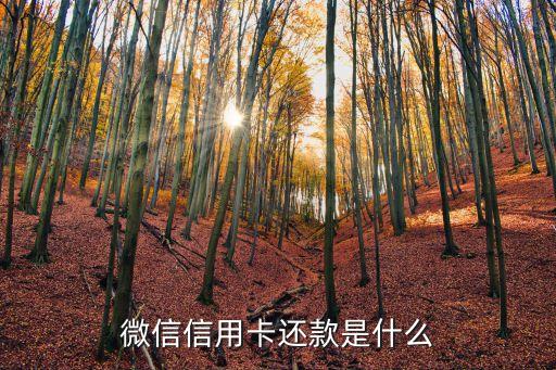 微信信用卡還款是什么
