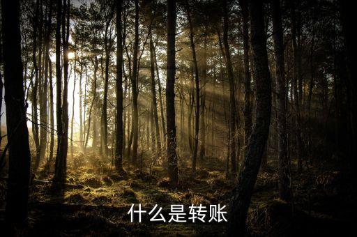 轉(zhuǎn)賬轉(zhuǎn)的是什么，銀行轉(zhuǎn)賬是怎么把真實的錢轉(zhuǎn)過去的