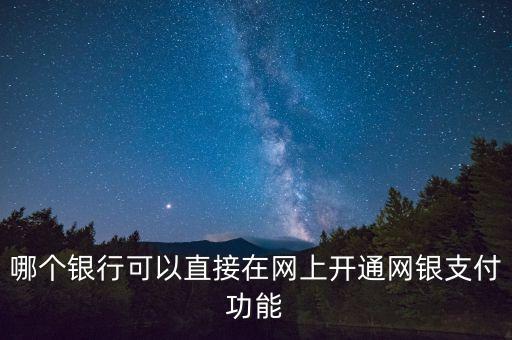 什么銀行可以開通網(wǎng)銀支付密碼是什么情況，哪個銀行可以直接在網(wǎng)上開通網(wǎng)銀支付功能