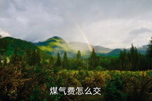 煤氣費怎么交