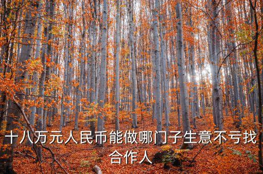 十八萬元人民幣能做哪門子生意不虧找合作人