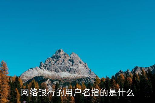網(wǎng)絡(luò)銀行的用戶名指的是什么