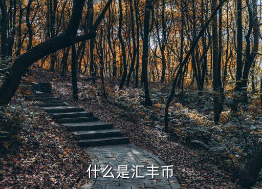 薪資寶是什么，做金融的是什么人