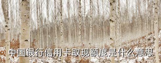 信用卡的現(xiàn)金額度是什么意思，中國銀行信用卡取現(xiàn)額度是什么意思