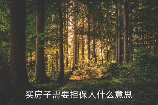 房貸擔(dān)保人是什么意思，買房子需要擔(dān)保人什么意思