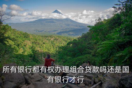 所有銀行都有權辦理組合貸款嗎還是國有銀行才行