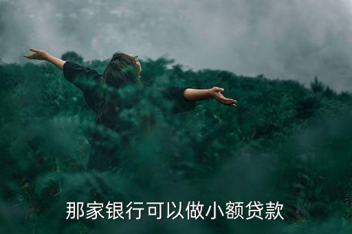 那家銀行可以做小額貸款