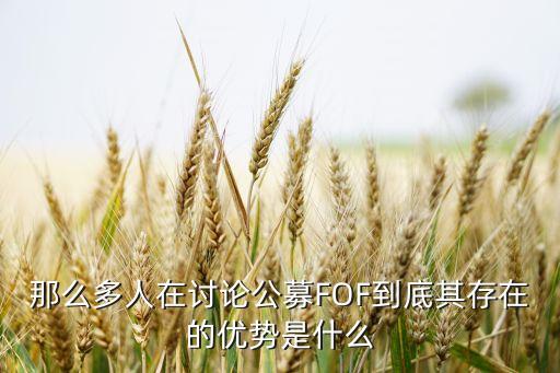 那么多人在討論公募FOF到底其存在的優(yōu)勢是什么