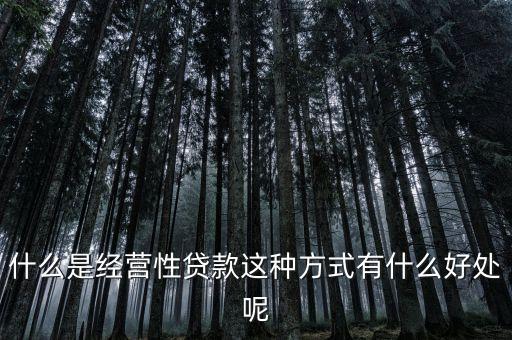 做生意貸款是什么，個人經(jīng)商貸款都有哪些