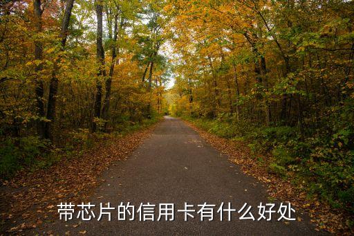 銀行卡芯片卡有什么用，帶芯片的信用卡有什么好處