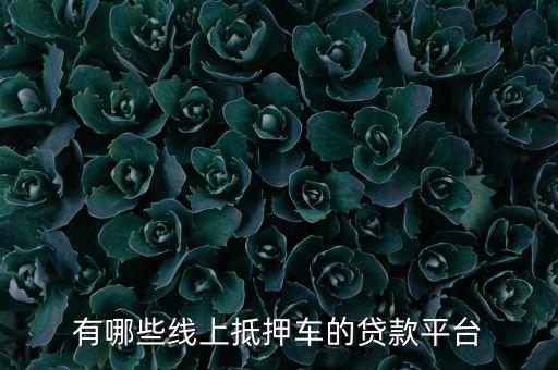 有哪些線上抵押車的貸款平臺(tái)