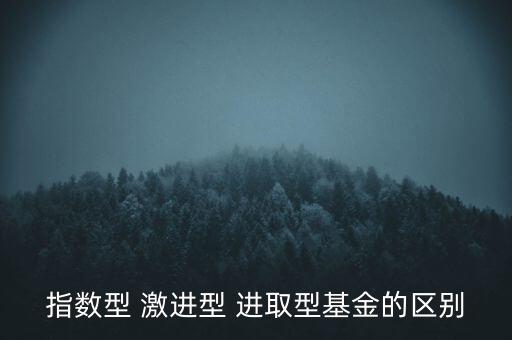 指數(shù)型 激進(jìn)型 進(jìn)取型基金的區(qū)別