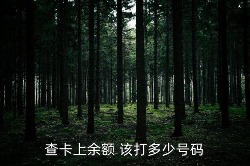 查卡上余額 該打多少號(hào)碼