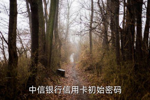 中信信用卡開卡密碼是什么，首次開通中行信用卡密碼是什么數(shù)字