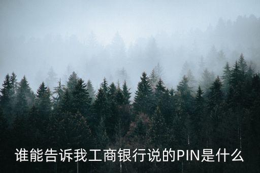 誰能告訴我工商銀行說的PIN是什么