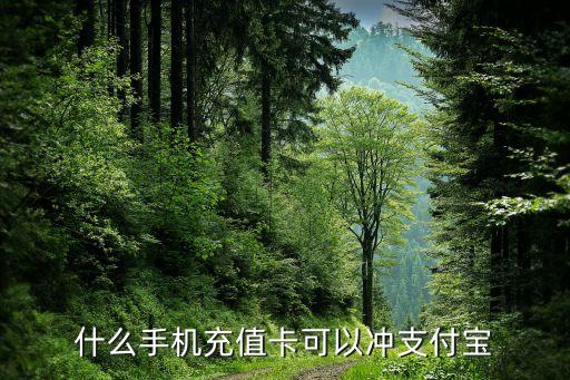 什么手機(jī)充值卡可以沖支付寶