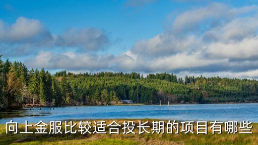 向上金服比較適合投長期的項目有哪些