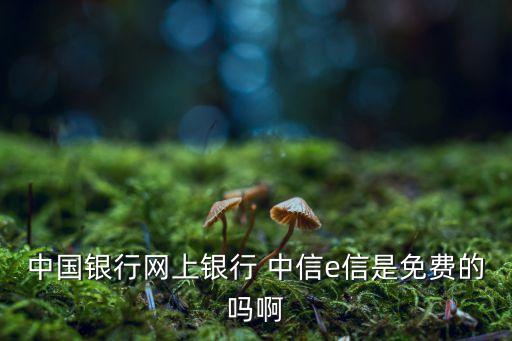 中信信e付是什么業(yè)務(wù)，中信銀行能開通e支付方式