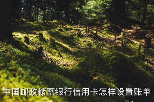 賬單設(shè)置是什么，農(nóng)村信用社電子銀行賬單怎樣設(shè)置