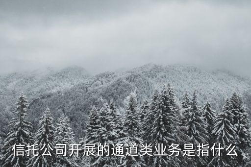 信托公司開展的通道類業(yè)務是指什么