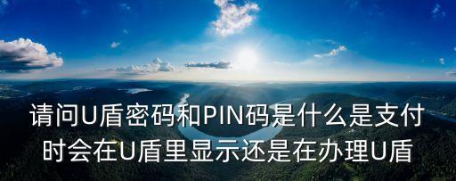 民生辦卡u盾密碼是什么意思，U盾密碼是什么密碼