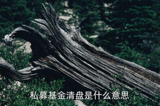 私幕基金清盤什么意思，私募基金清盤是什么意思