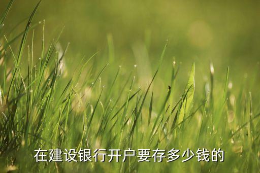 在建設(shè)銀行開戶要存多少錢的