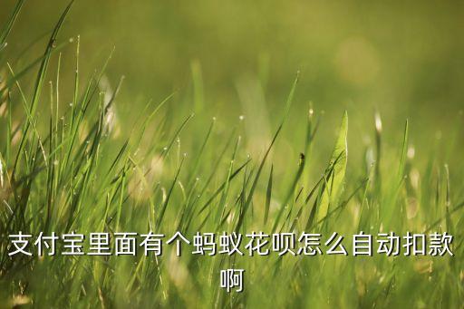 花唄自動(dòng)扣款是什么，支付寶里面有個(gè)螞蟻花唄怎么自動(dòng)扣款啊